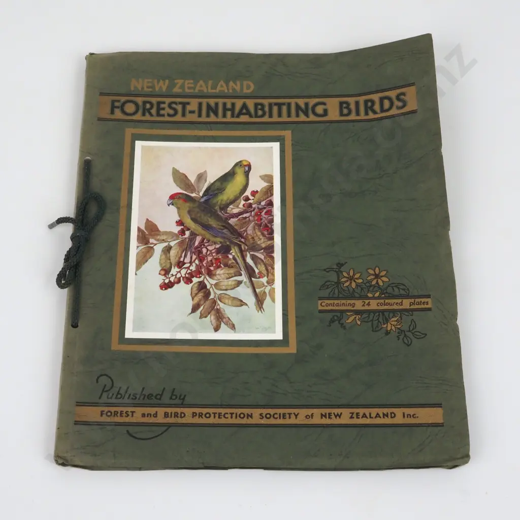 New Zealand Birds - Forest-Inhabiting Birds Image 1++