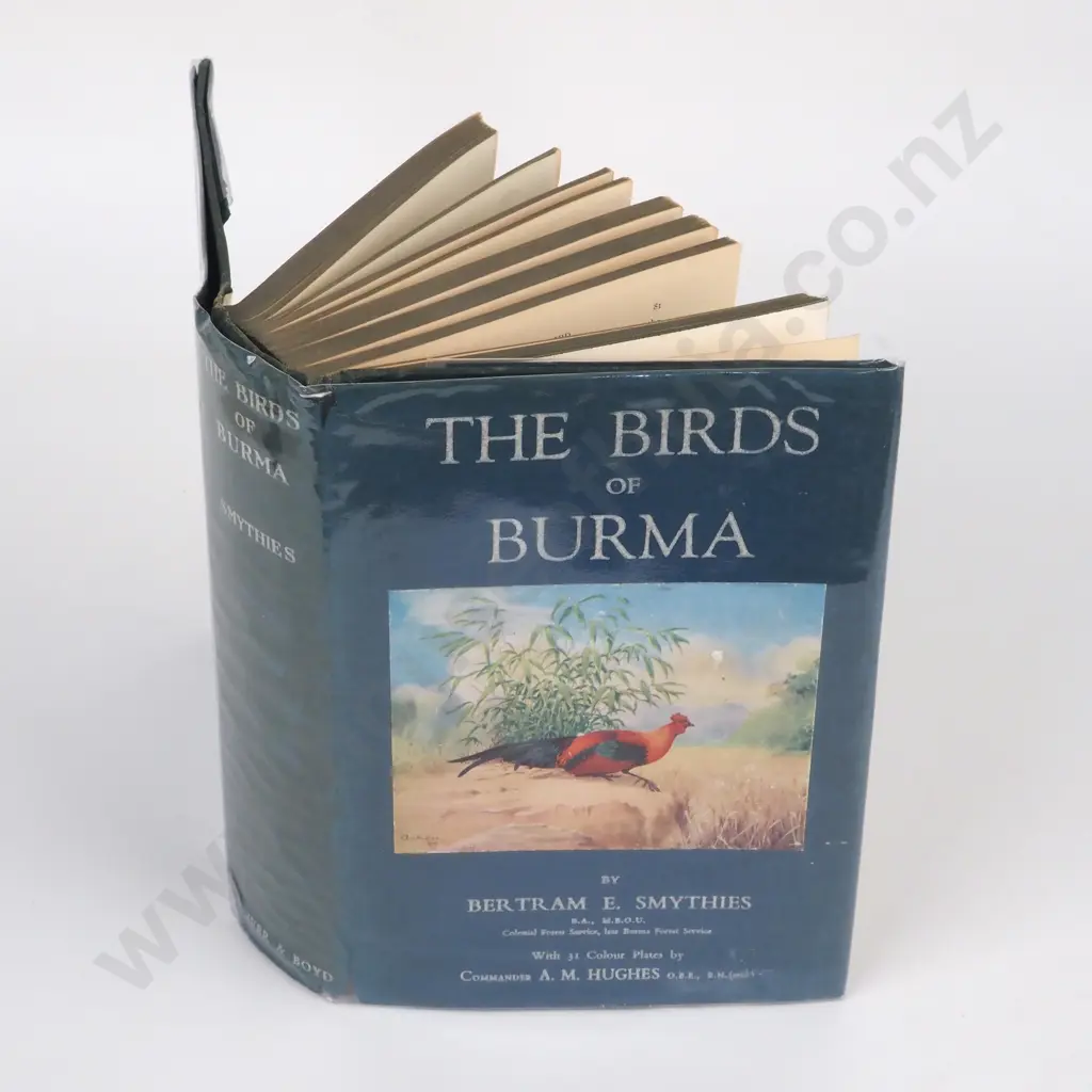 Smythies, Bertram E.; The Birds of Burma; Oliver and Boyd, Second Ed 1953. Image 1++