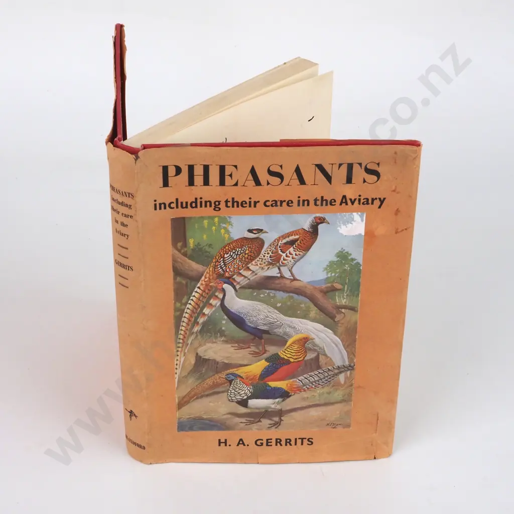 Gerrits, H.A.; Pheasants including their care in the Aviary Image 1++