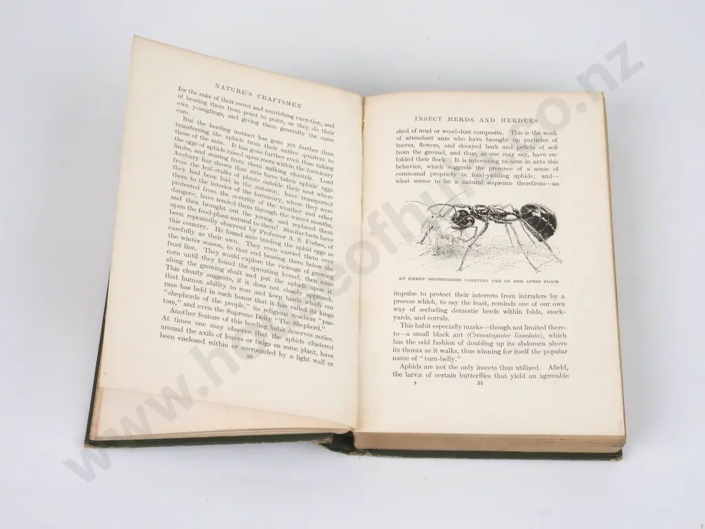 McCook,Henry C.; Nature's Craftsmen - Popular Studies Of Ants & Other Insects; Harper & Brothers, 1907. Image 1++