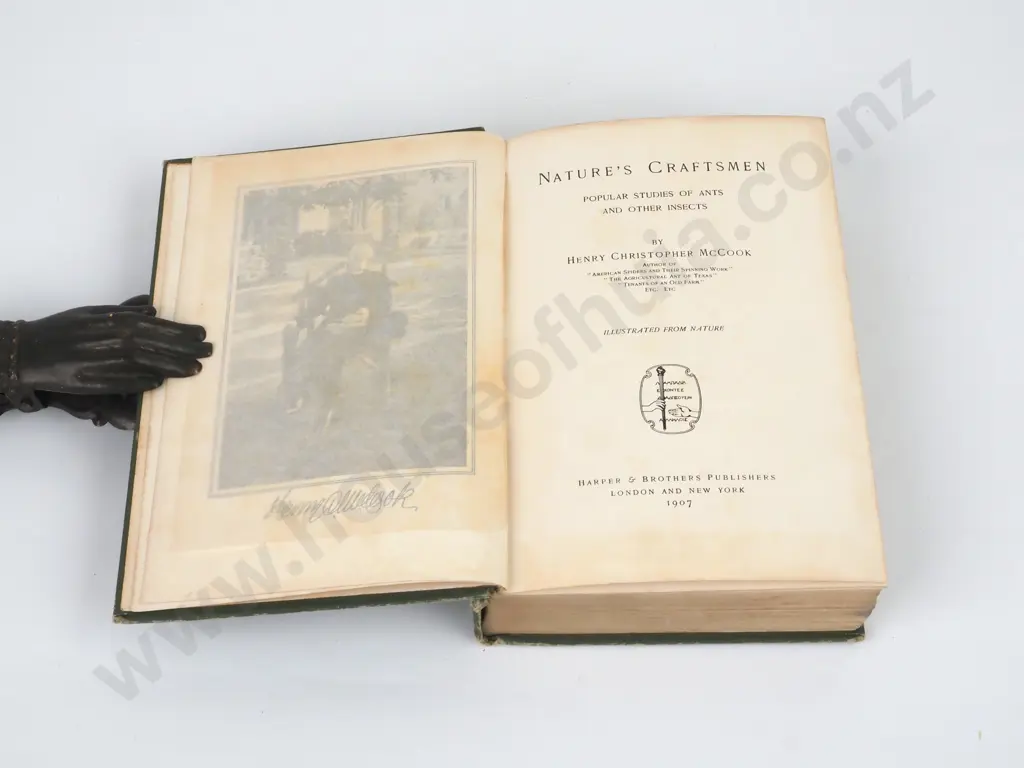 McCook,Henry C.; Nature's Craftsmen - Popular Studies Of Ants & Other Insects; Harper & Brothers, 1907. Image 1++