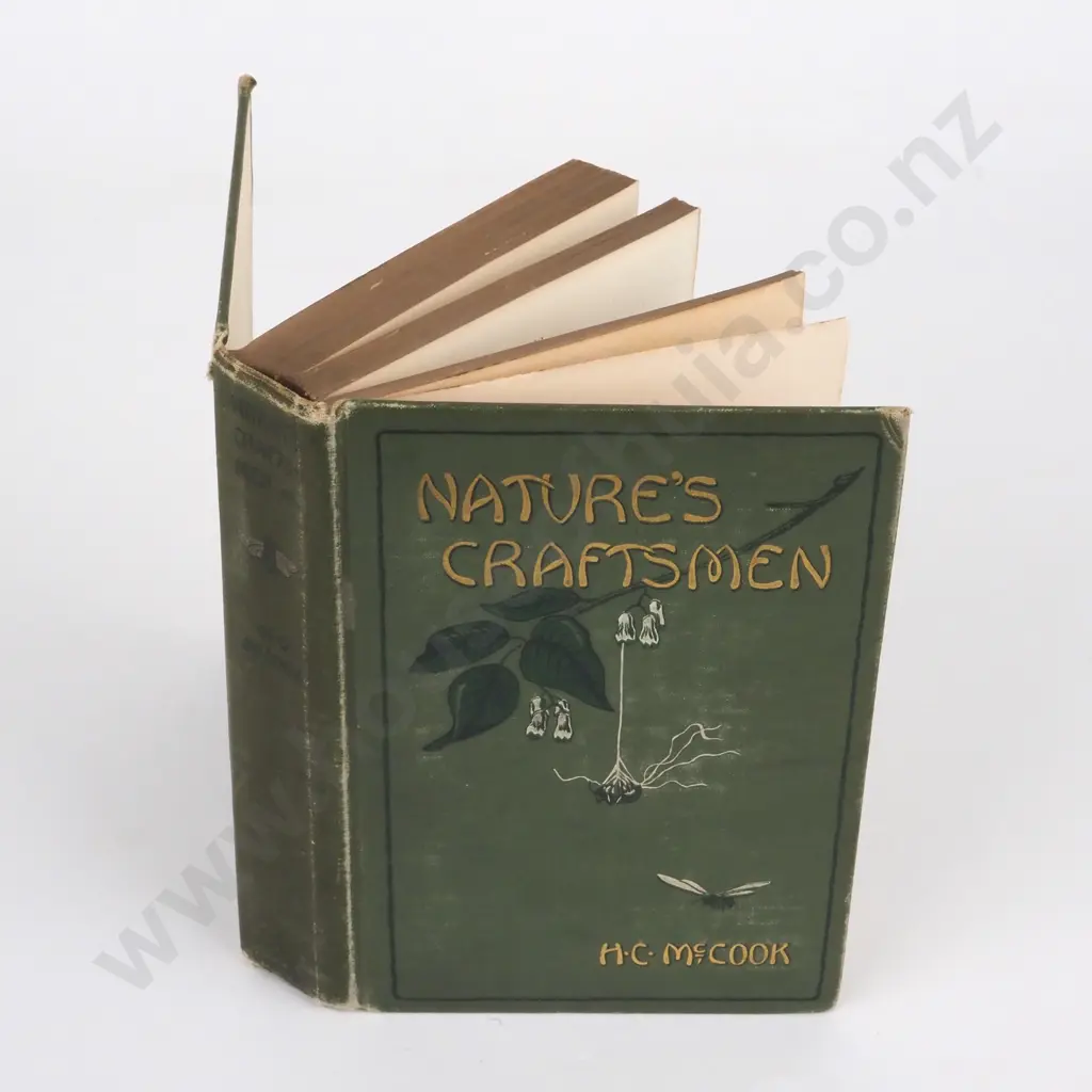 McCook,Henry C.; Nature's Craftsmen - Popular Studies Of Ants & Other Insects; Harper & Brothers, 1907. Image 1++
