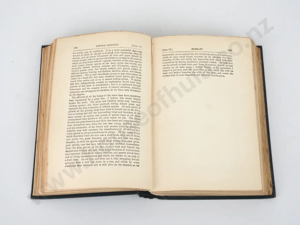Darwin, Charles; The Origin of Species Image 1++