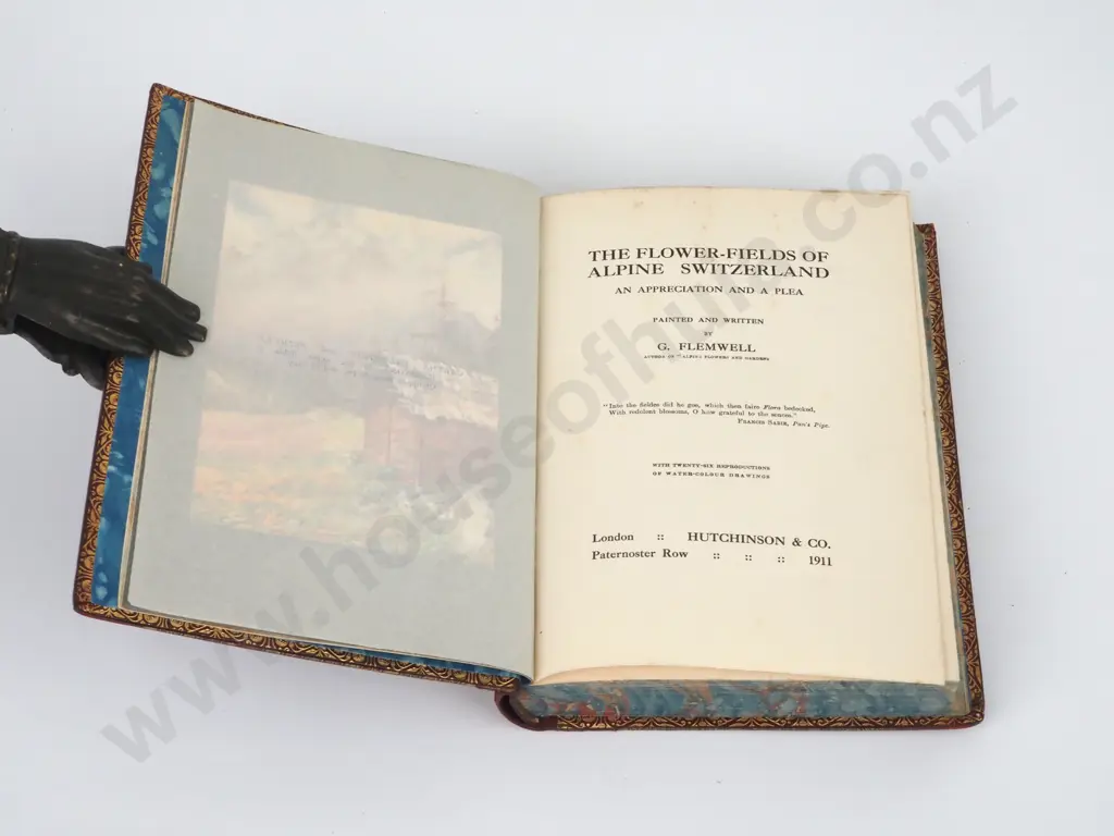 Flemwell, G.; Flower Fields Of Alpine Switzerland; Hutchinson & Co., 1911 Image 1++