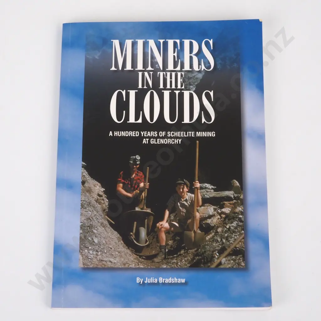 Bradshaw, Julia; Miners in the Clouds Image 1++
