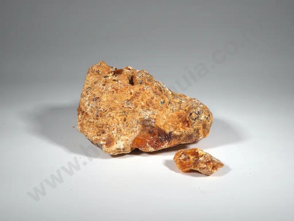 Vintage Kauri Gum. Image 1++