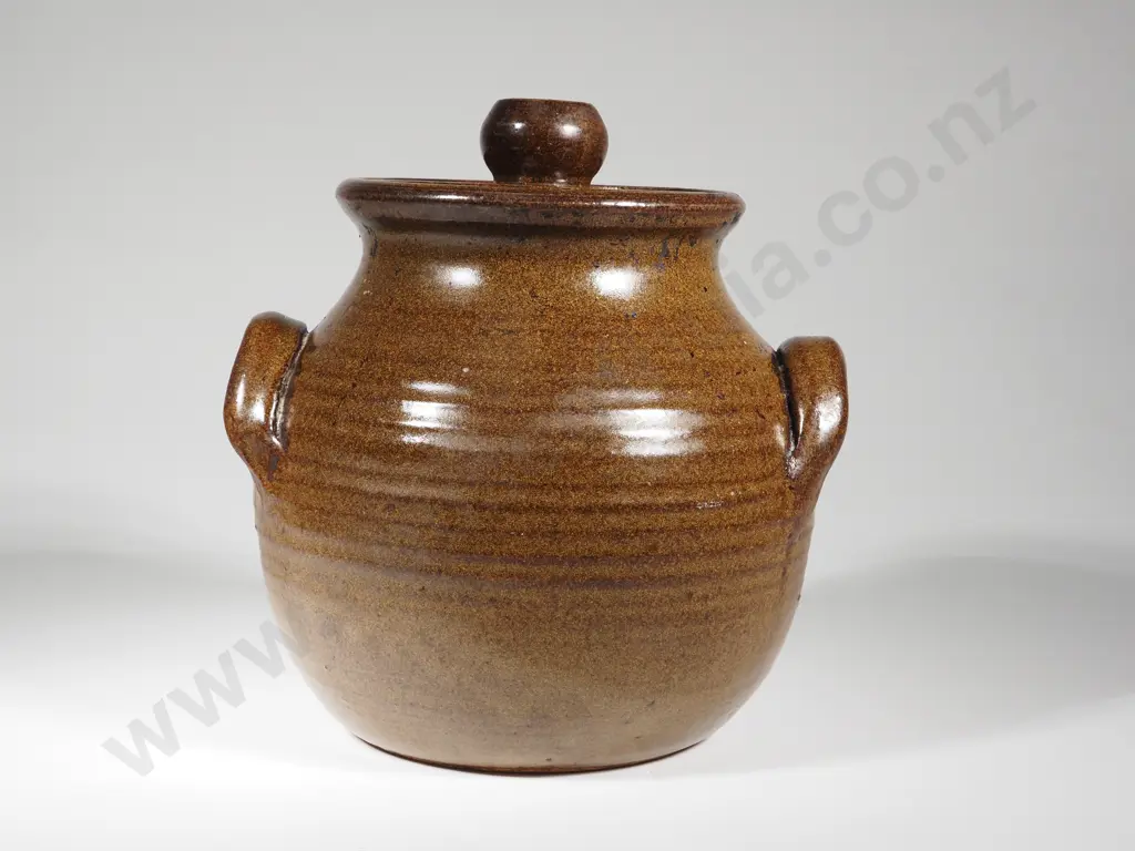 Lidded Pottery Double Handled Bowl With Ribbed Body Image 1++