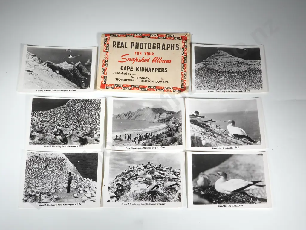 Small Envelope Containing Real Photographs of Cape Kidnappers  Image 1++