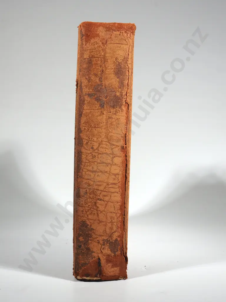 Antique New Zealand Photo Album with Some Silver Geletin Photos of Christchurch & Māori Scenes Image 1++