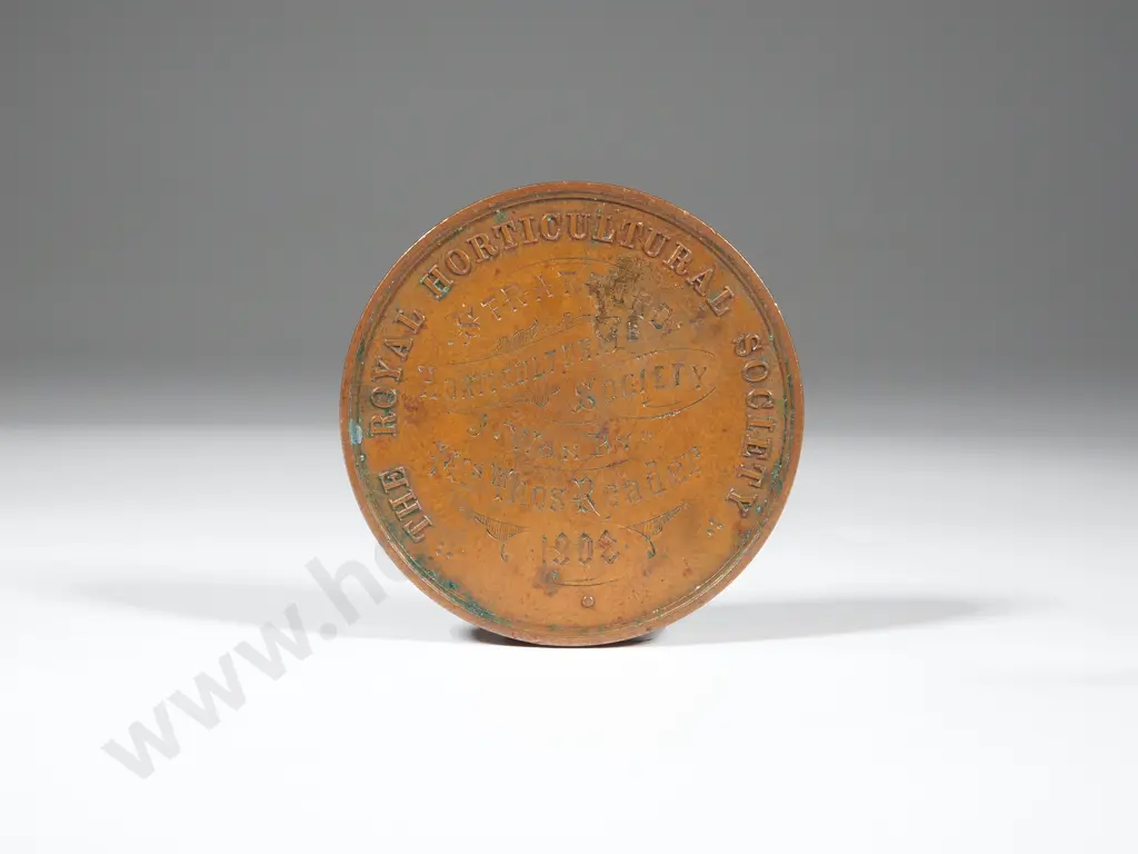 1908 Bronze Royal Horticultural Association Medal - Won by T Reader - First Year of Stratford Horticultural Association Image 1++