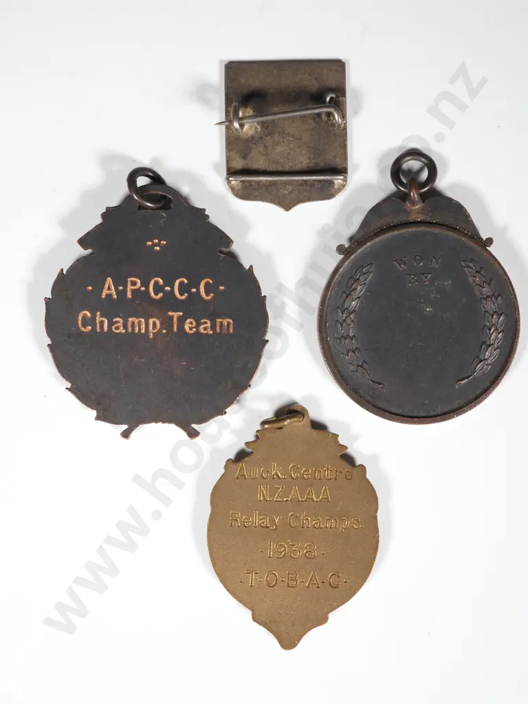 Three New Zealand Prize Medals & Sterling Silver Pin Image 1++