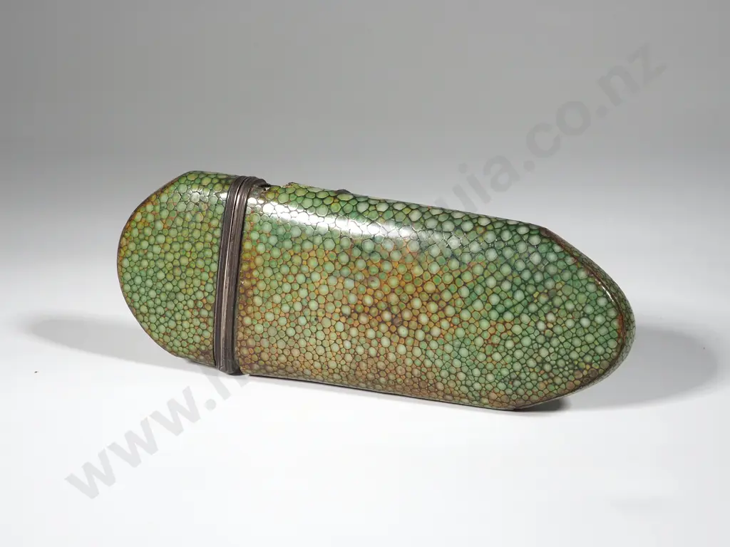Rare Georgian Shagreen Spectacle Case Image 1++