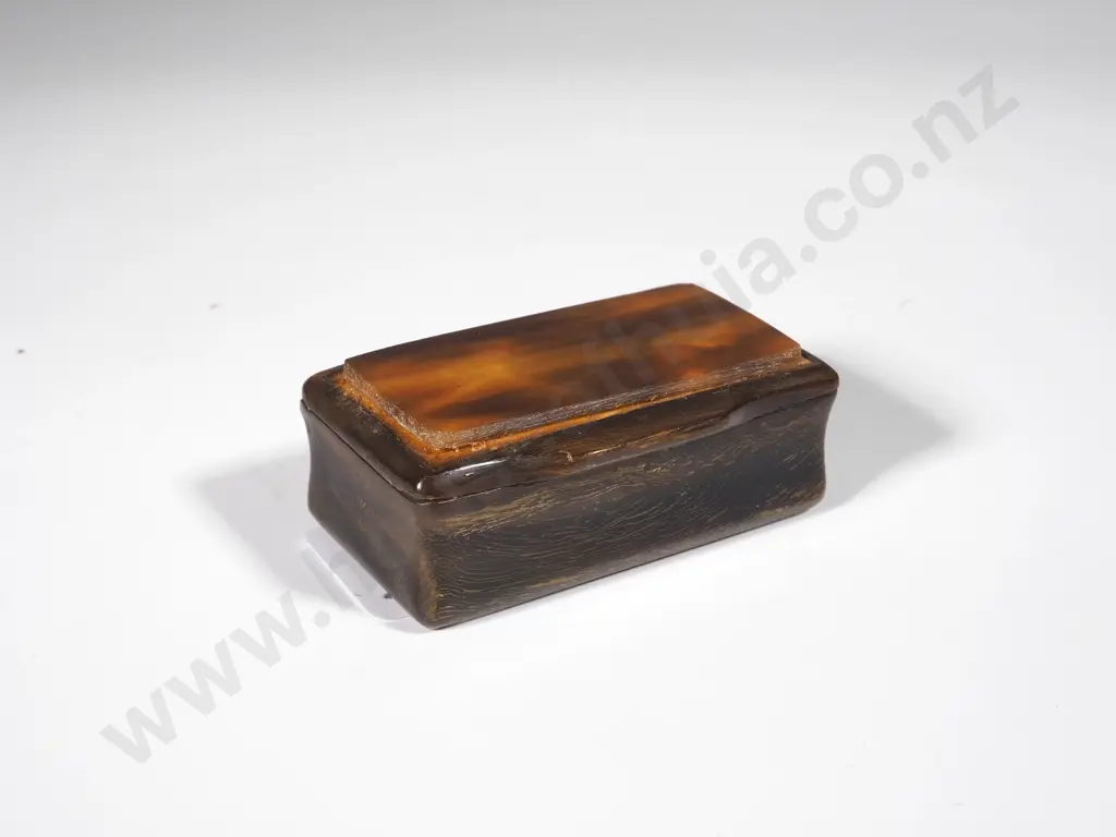 Antique Tortoiseshell Snuff Box Image 1++