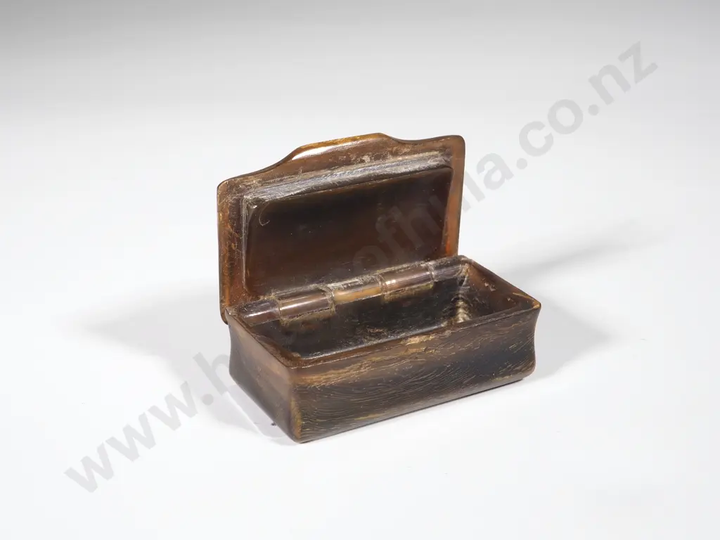Antique Tortoiseshell Snuff Box Image 1++