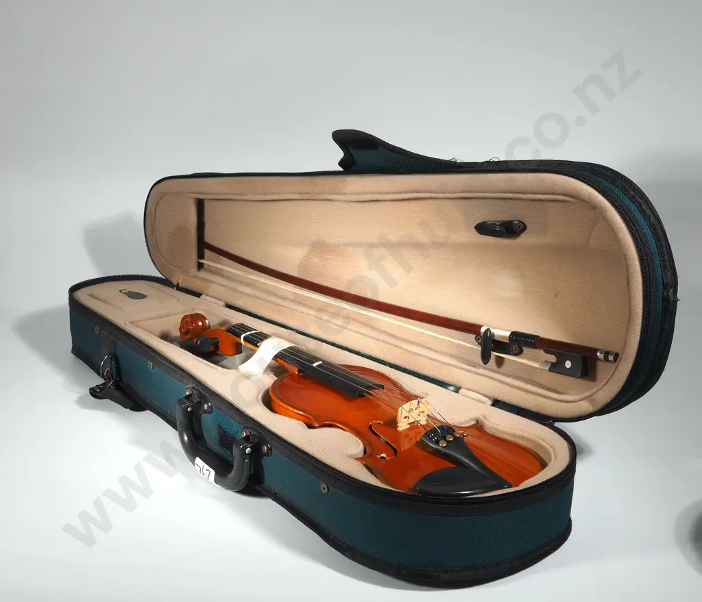 Cased Half Size Violin Image 1++