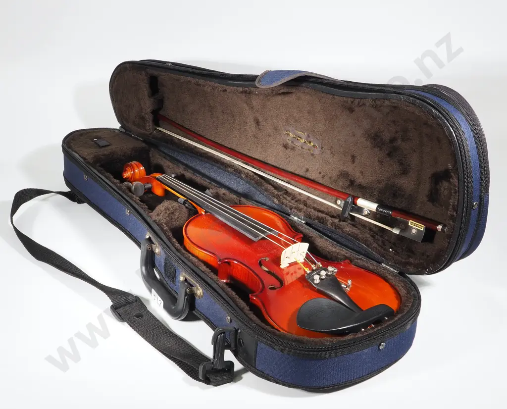 Cased Quarter Size Violin Image 1++