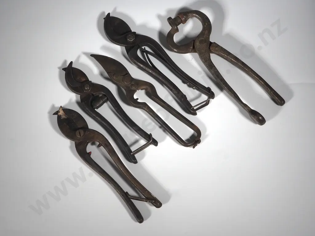 Collection of Four Iron Garden Secetuers & Leather Hole Punch Image 1++