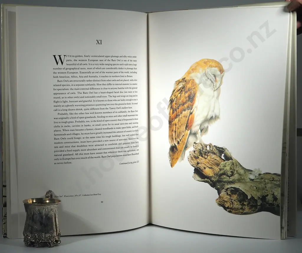 Raymond Ching, The Bird Paintings. With Text By David Snow, A. H Chisholm & M.E Soper Image 1++