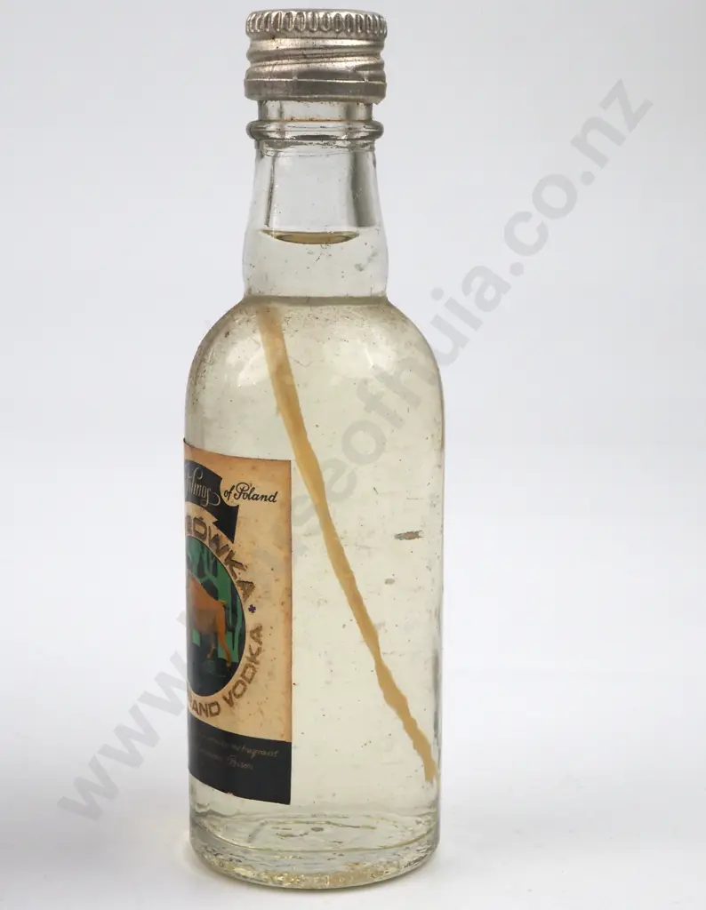 Collection Of Miniature Alcohol Bottles Including Gin, Martini, Rum, Image 1++