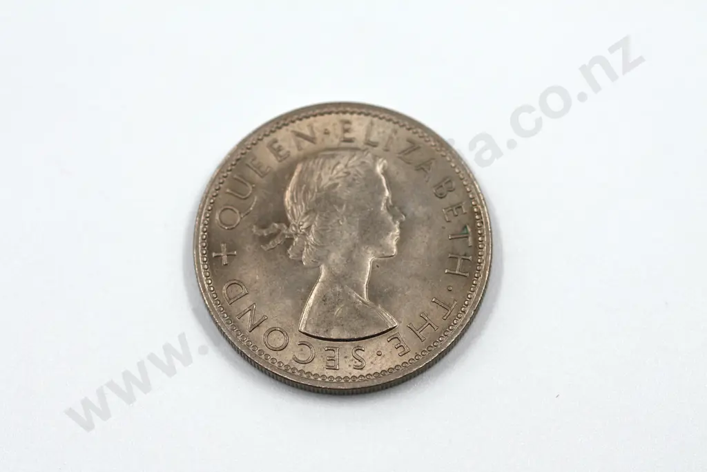 1963 florin, brilliant uncirculated with full mint lustre. C.V. $45 Image 1++