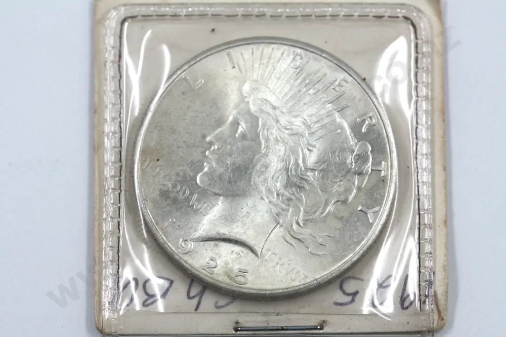 1925 United States Liberty Dollar. UNC CAT USD$45 Image 1++