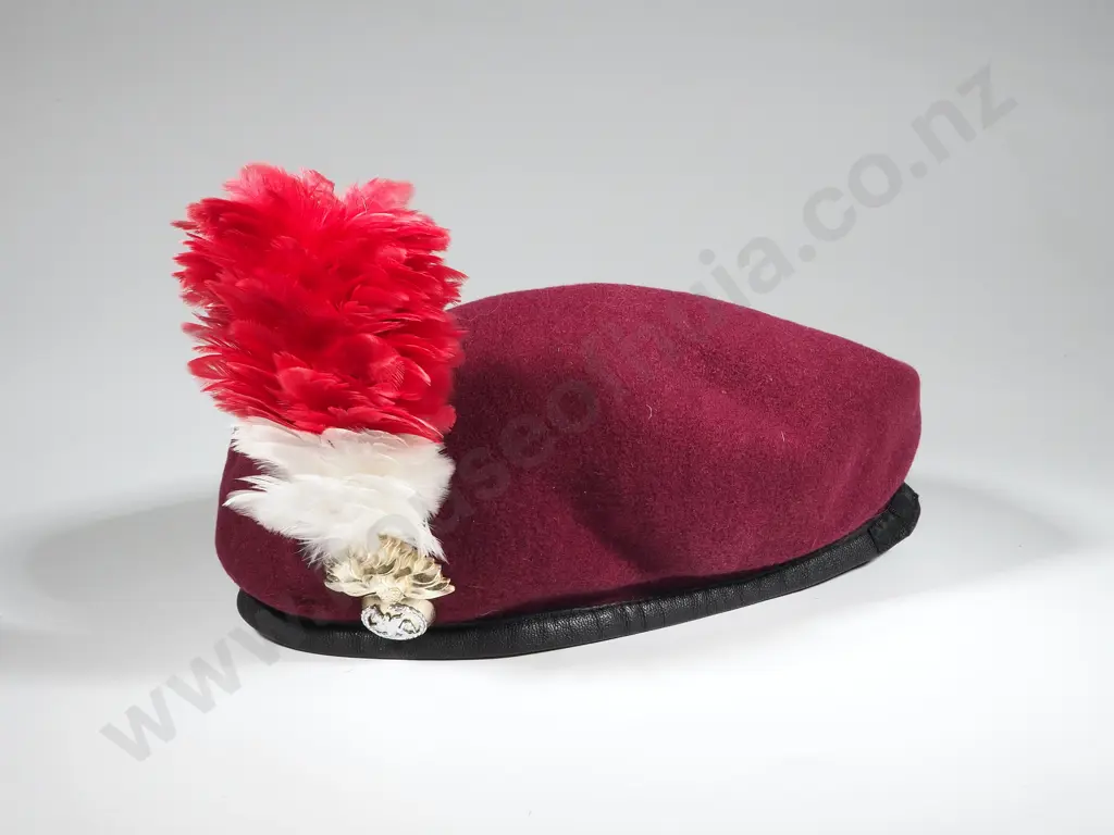 Fusileers Military Beret w Badge & Hackle Image 1++