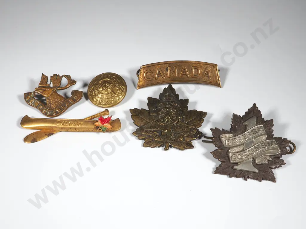 Assorted Canadian Badges & Buttons Image 1++