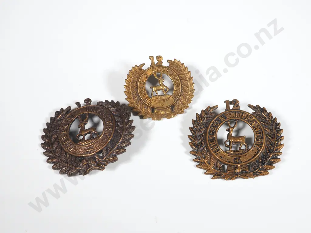 WW1 New Zealand 12th Nelson Infantry Two Caps & One Collar Badges  Image 1++