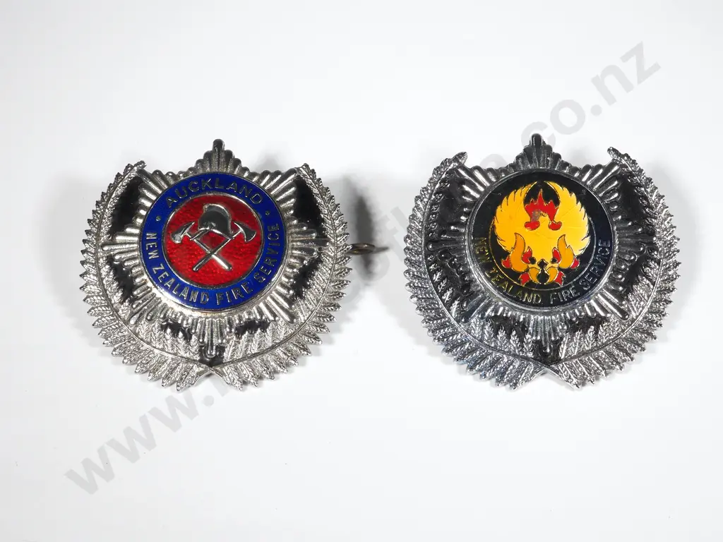 Two Fire Service Cap Badges Image 1++