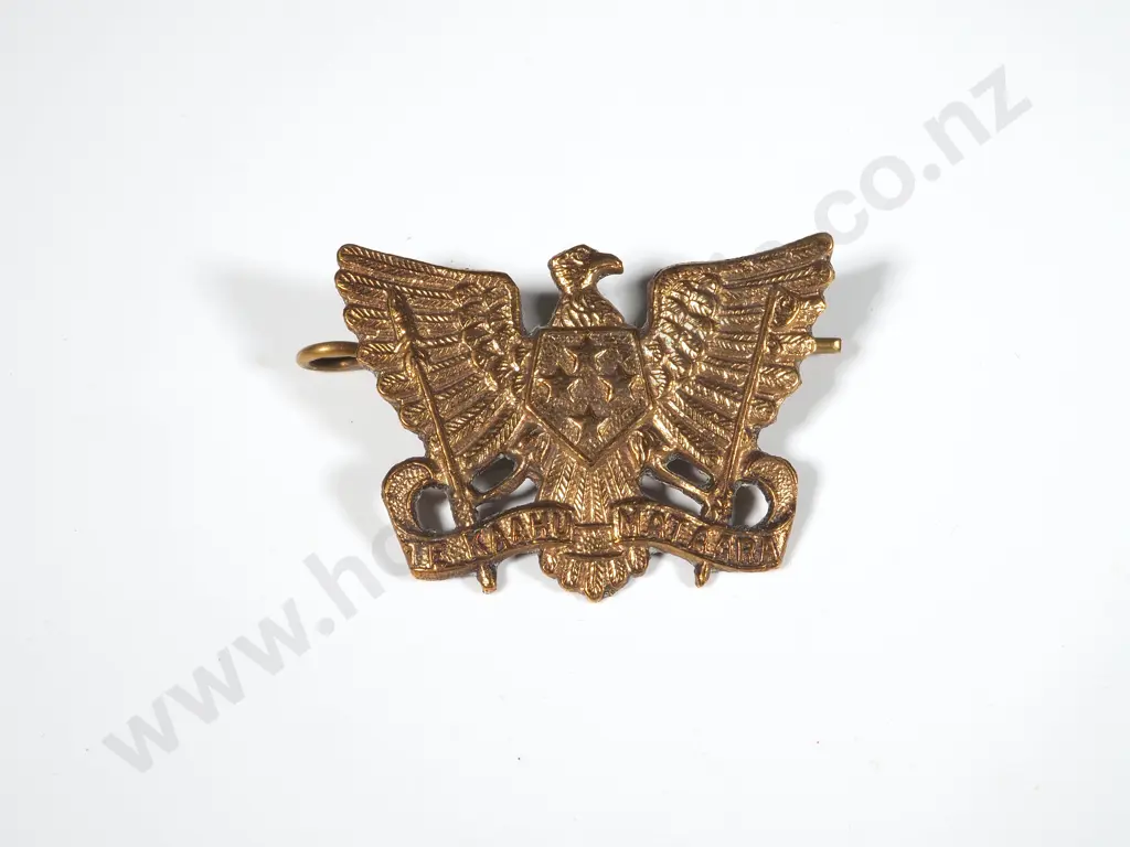 WW1 New Zealand Reinforcement Collar Badge Image 1++