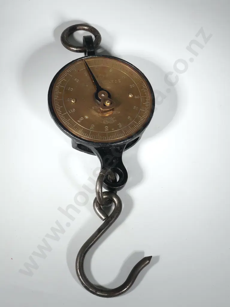 Salter Brass Spring Balance Scales with Full Brass Face & Iron Pointer .  To Weight 150lbs Image 1++
