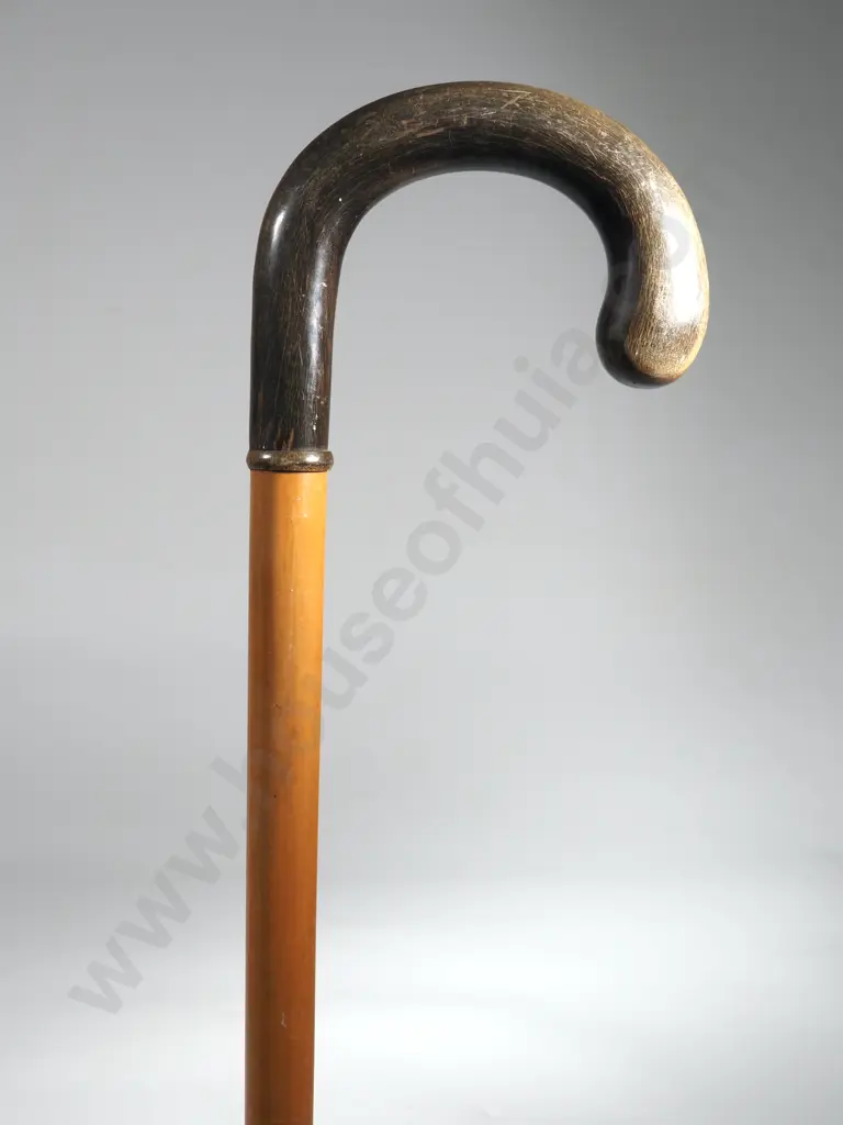 Malacca Cane with Horn Handle. Image 1++