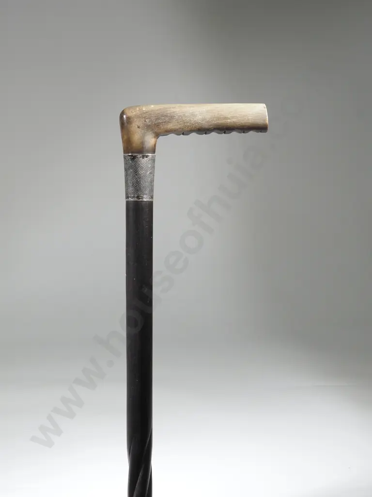 Twisted Ebony Cane with Horn Handle & Silver Ferrall.  Image 1++