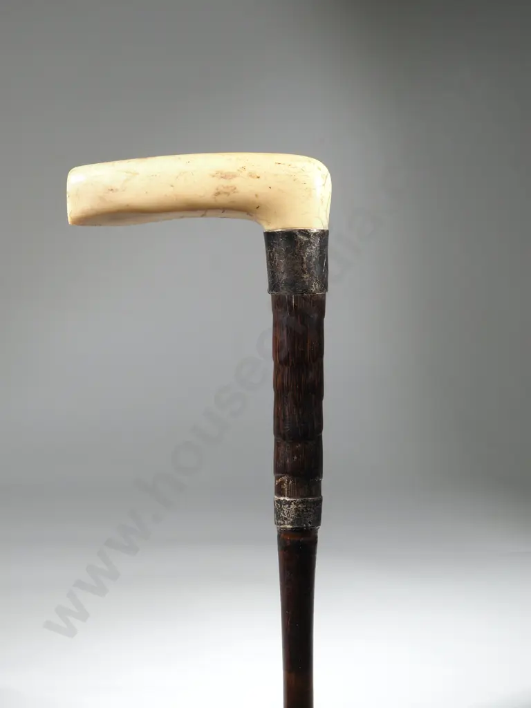 Ivory Handled Cane with Silver Ferrall & Replaced Shaft  Image 1++