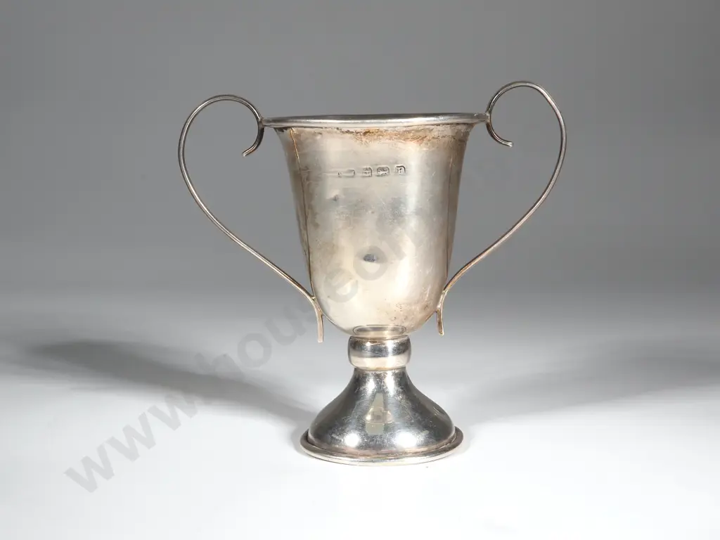 Sterling Silver Trophy A/F Image 1++