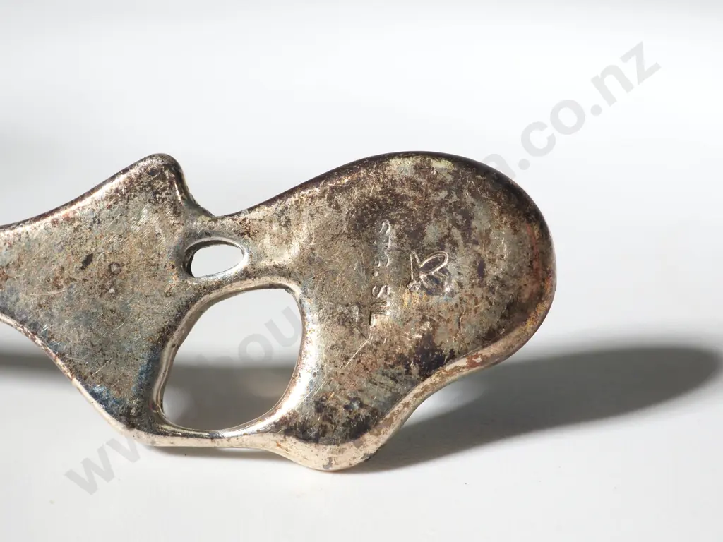 Boxed Set of Five Sterling Silver & Paua Shell Kiwi Spoons Image 1++