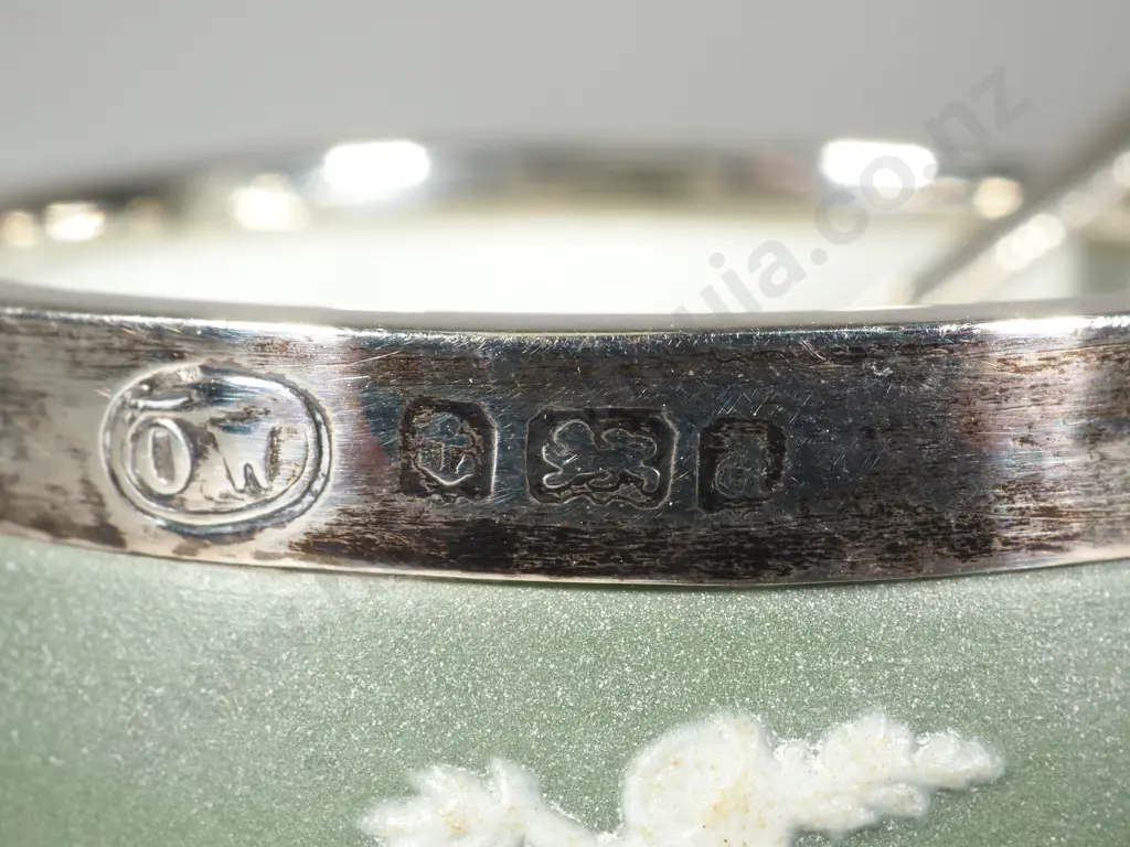 Vintage Green Jasperware Pepper & Salt with Sterling Silver Rim, Top & Spoon. Birm 1903 Image 1++