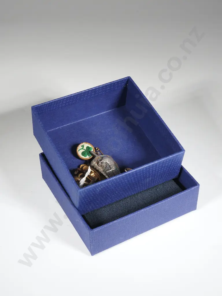 Box Containing Paua Shell & Kiwi Brooch,NZ Onwards Army Badge, Pair of Cufflinks (A/F)., 9ct Gold, Roll Gold Clips w 9ct Image 1++