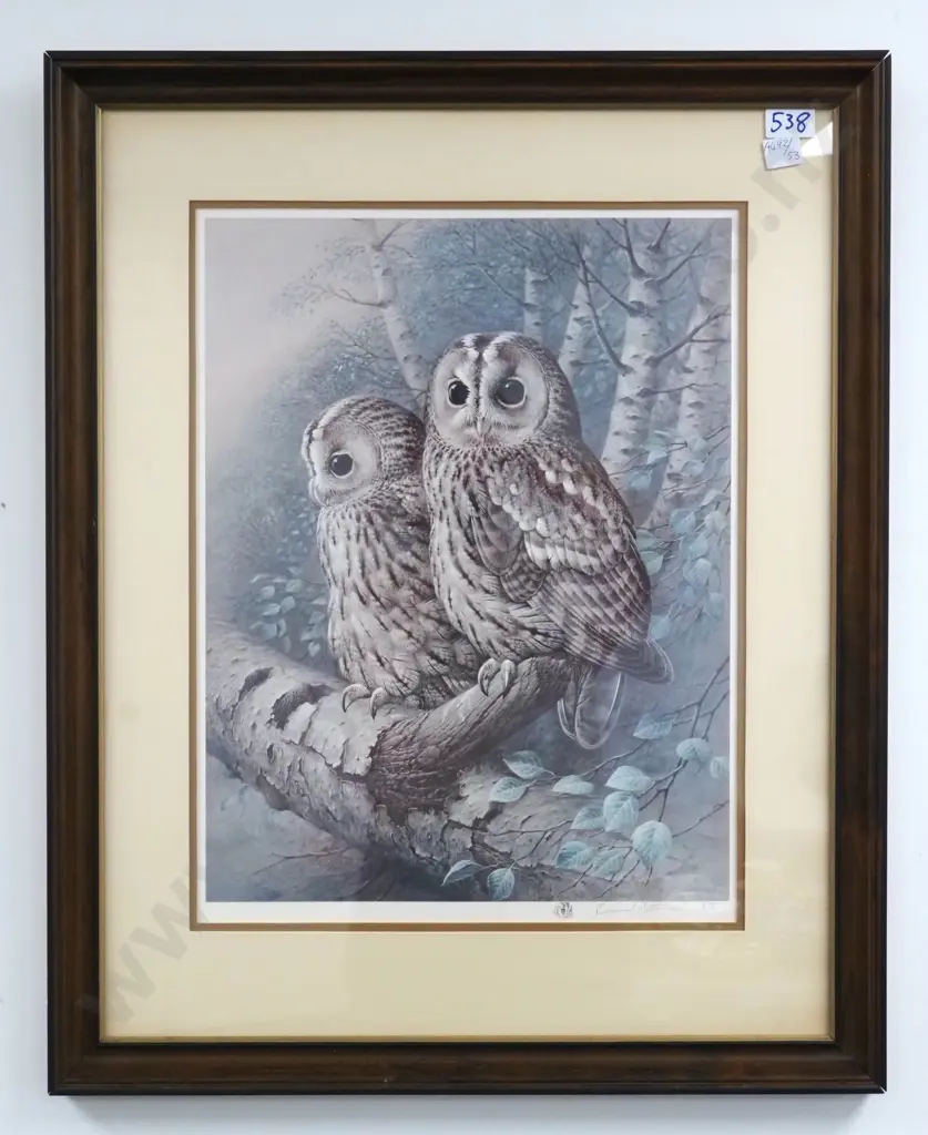 Raymond Watson. 1983. The Tawny Owl. Authentic Collotype Print. Dated, Hand Signed & Remarqued by the Artist. Image 1++