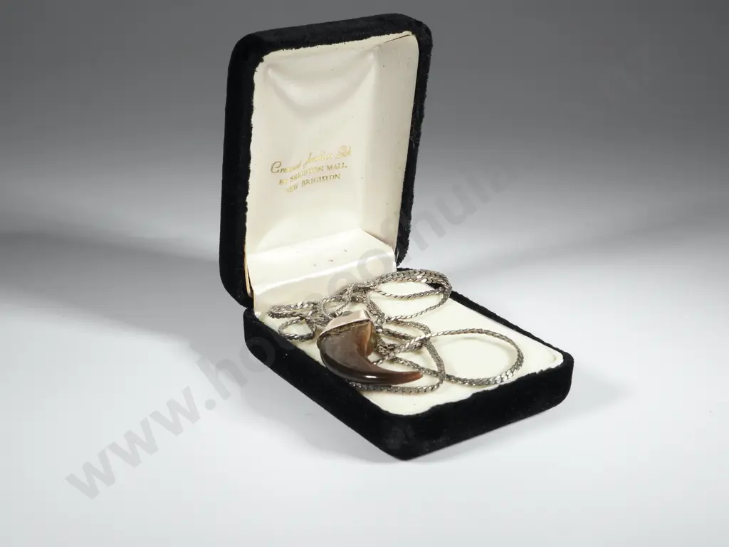 Black Bear Claw Necklace On Chain  Image 1++