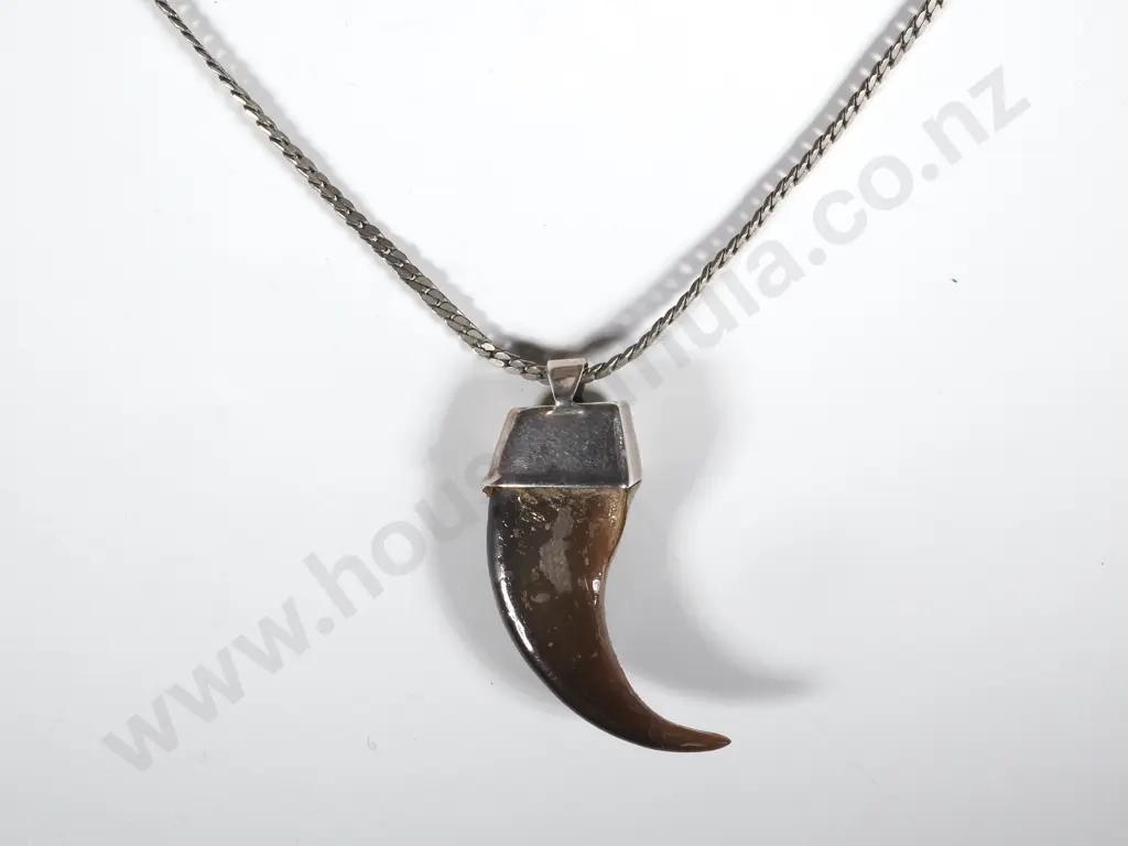 Black Bear Claw Necklace On Chain  Image 1++
