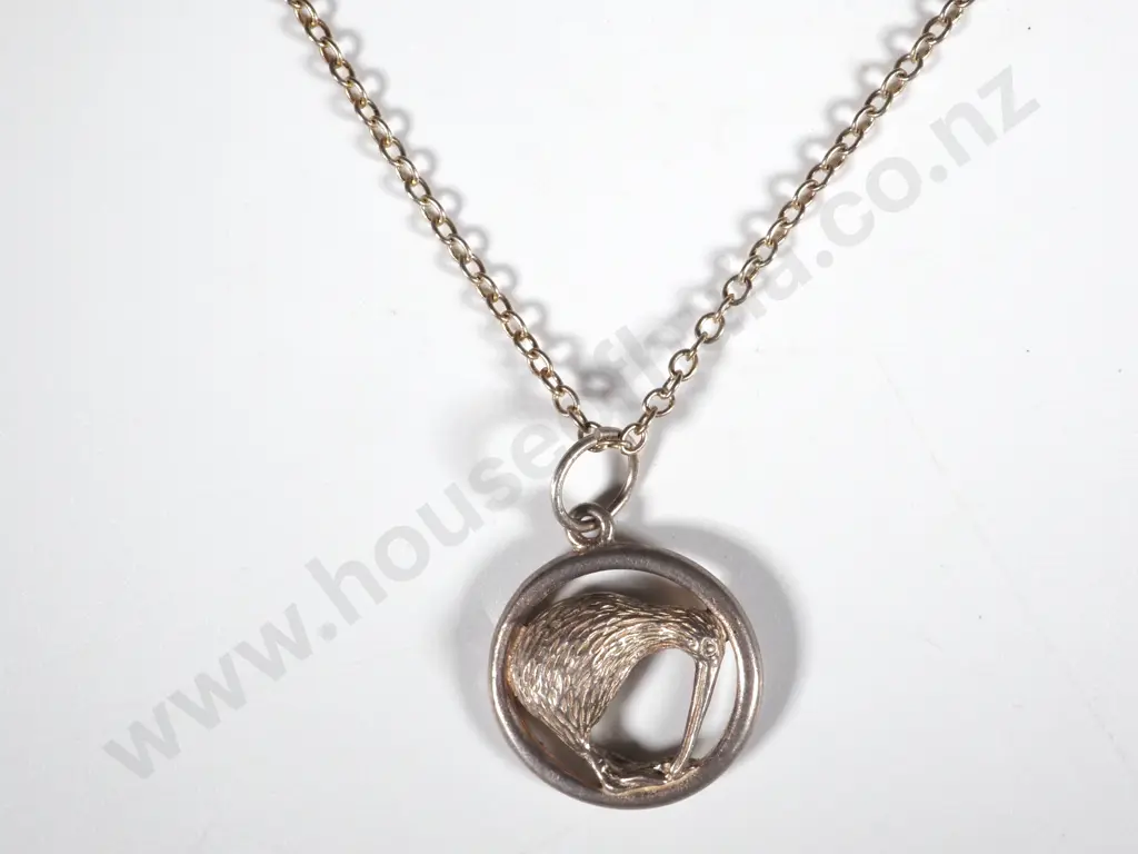 Sterling Silver Circular  Pendant in the Form Of a  Kiwi On a Chain Image 1++