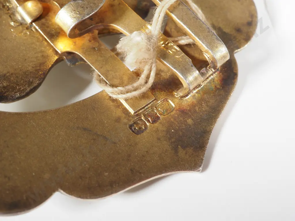 Sterling Silver & Fancy Enamel "Advance Australia" Belt Buckle Image 1++