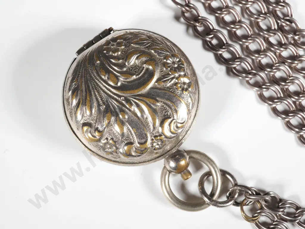 Embossed White Metal Sovereign Case & Chain Image 1++