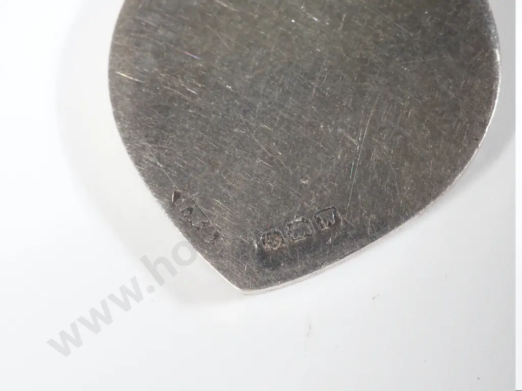 Sterling Silver Watch Chain with T Bar & Medallion  Image 1++