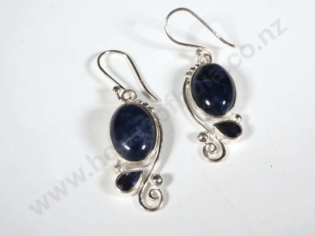 Sterling Silver & Lapus Lazuli Drop Earrings Image 1++