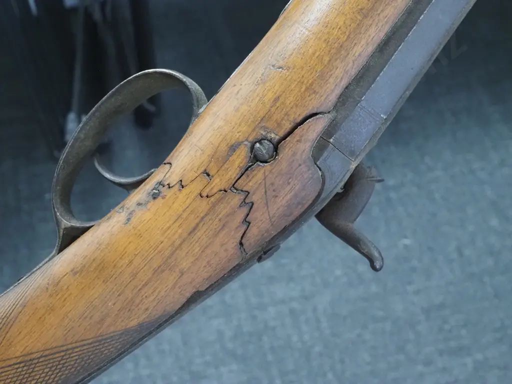 Named Percussion Shotgun. Ramrod Missing. Image 1++