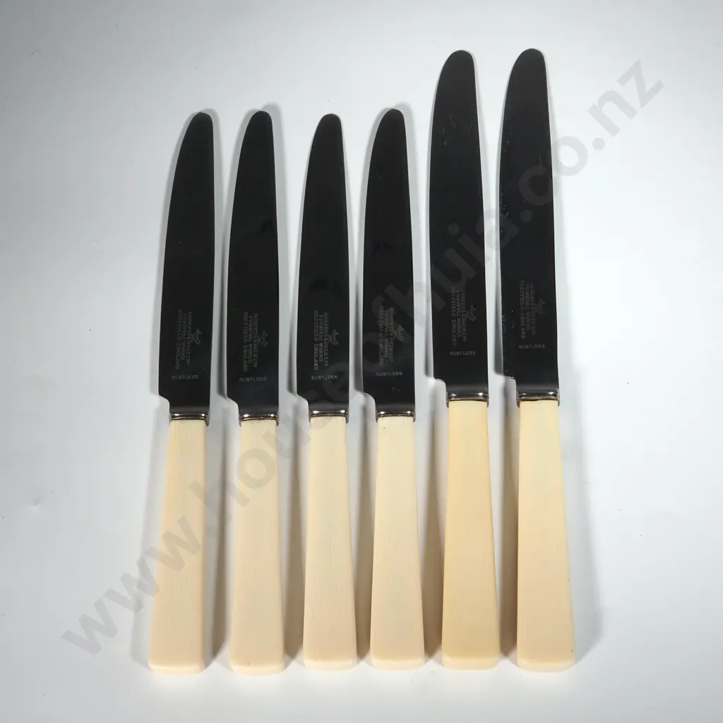Vintage Of Six Unused Bone Handled Entree Knives Image 1++