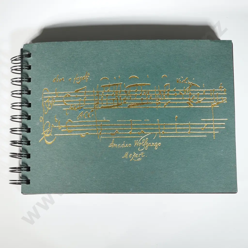 Vintage Postcard Album Containing Victorian & Edwardian Cards & International Souvenir Postcards  Image 1++