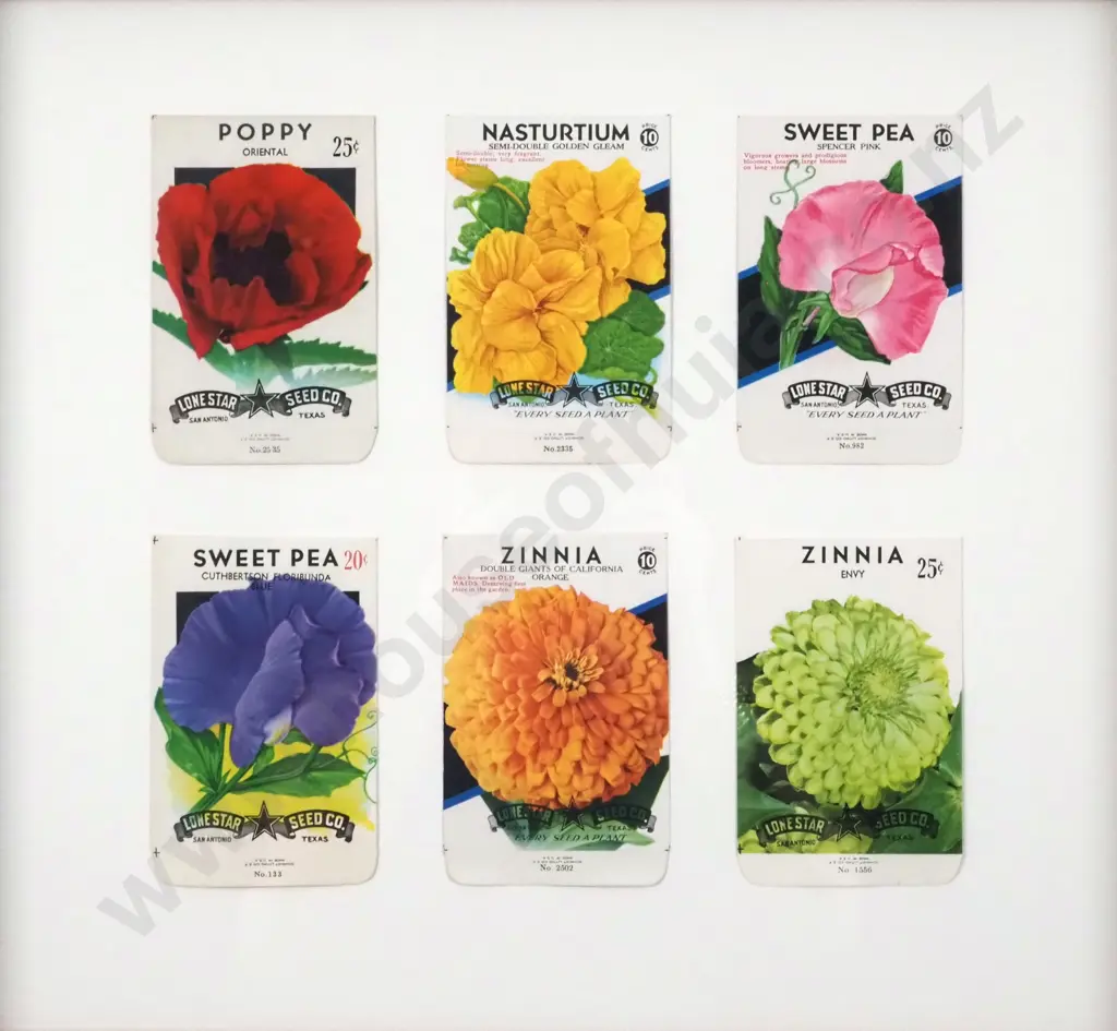 Vintage Vintage 80 Year Old Flower Seed Packets. Authentic Original - Lithograph. Image 1++